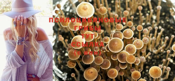 метамфетамин Алзамай