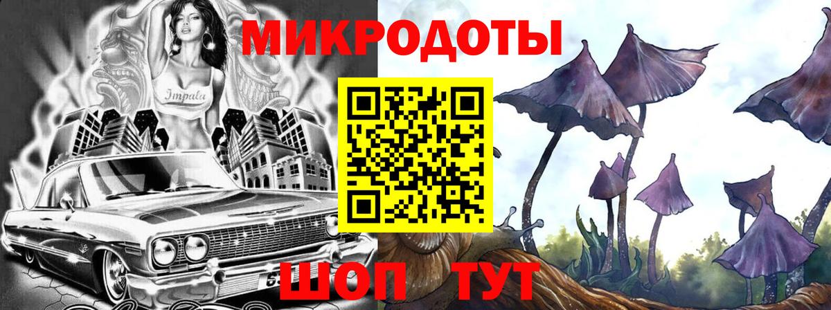 Ревда  Псилоцибиновые грибы Psilocybine cubensis  Вход с VPN 
